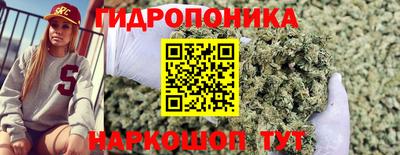 спиды Тверь