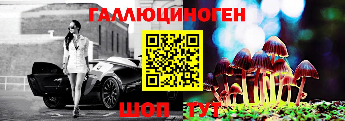 Псилоцибиновые грибы мухоморы Дятьково